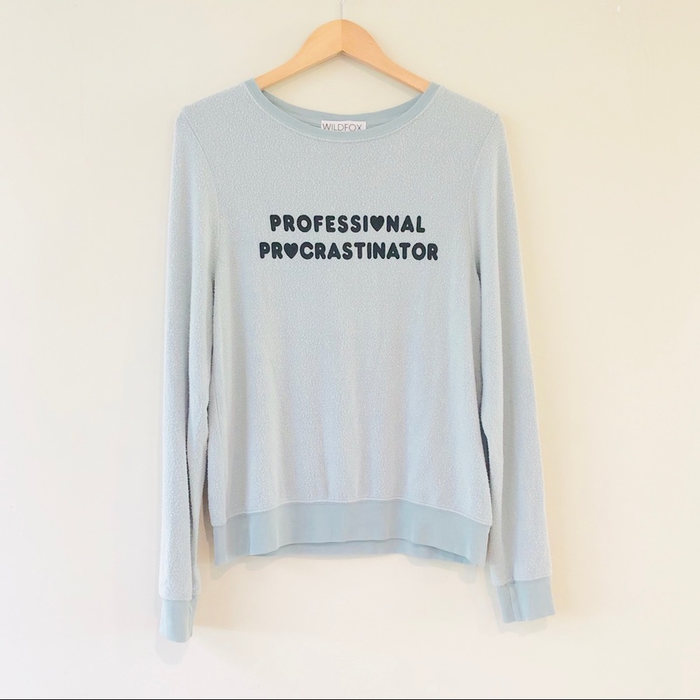 NWT Wildfox Procrastinator Sweatshirt Cadet Blue
